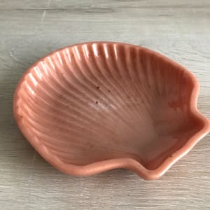 Large Scallop Shell Tray - Coral by Colorvine by Kelsey 