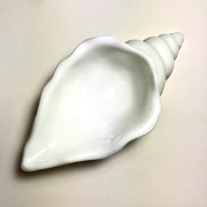 White Shell Trinket Bowl 