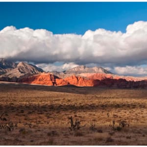 Red Rock Canyon by Richard Wong, Image 1.