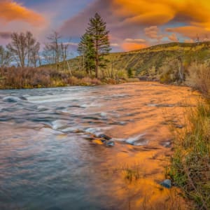 Nevada Gold by Scott McGuire, Image 1.