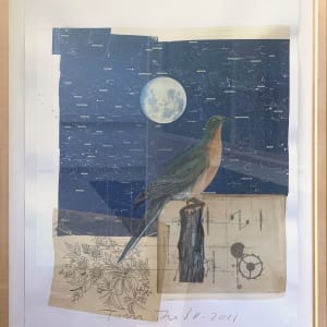 Constellations by Tom Judd, Image 1.