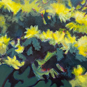 Herbie's mimosa by Antoine Renault 