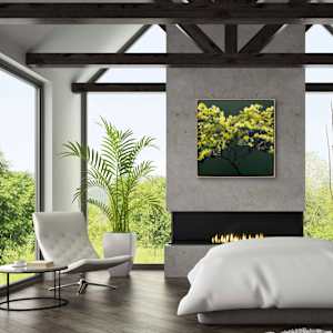 Herbie's mimosa by Antoine Renault 