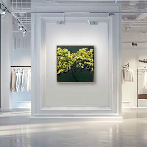 Herbie's mimosa by Antoine Renault 