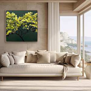 Herbie's mimosa by Antoine Renault 