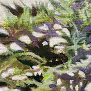 Le Cèdre du château by Antoine Renault 