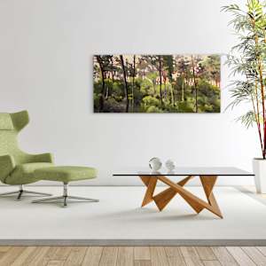 Dune by Antoine Renault 