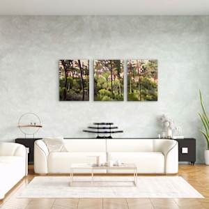 Dune by Antoine Renault 