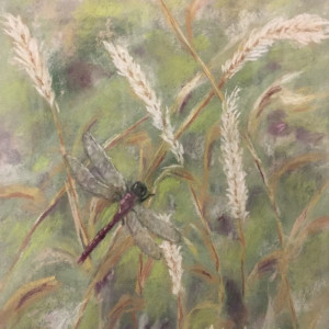 Dragonfly in the Garden by Melissa Eggleston