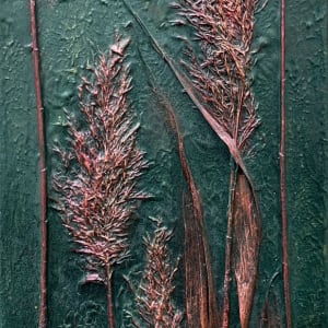 Bronze Reeds by sally