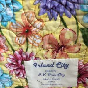 Island City by O.V. Brantley 