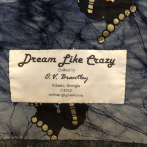 Dream Like Crazy by O.V. Brantley 