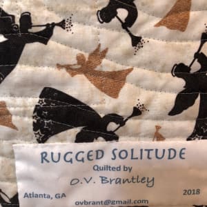 Rugged Solitude by O.V. Brantley 