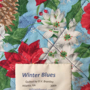 Winter Blues by O.V. Brantley 