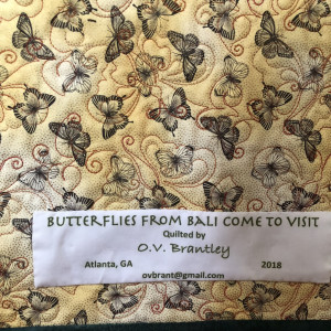 Butterflies From Bali Come To Visit by O.V. Brantley 