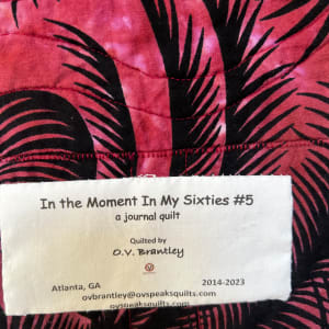 In the Moment in My Sixties #5 by O.V. Brantley  Image: In the Moment In My Sixties #5 label