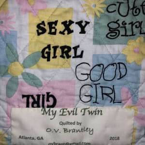 My Evil Twin by O.V. Brantley 