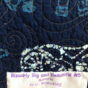 Bazaarly Big and Beautiful #5 by O.V. Brantley 