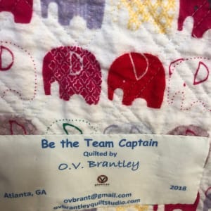 Be the Team Captain by O.V. Brantley 