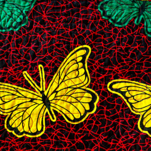 The Heart of Africa  Image: The Heart of Africa  Butterfly detail
