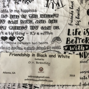 Friendship In Black and White by O.V. Brantley 