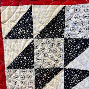 Martin's Dream by O.V. Brantley, Image 13.