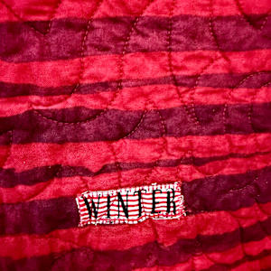 Seeing Red (Things that Make Me Mad) by O.V. Brantley, Image 8.