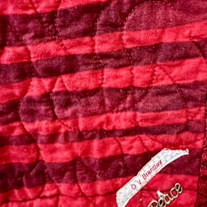 Seeing Red (Things that Make Me Mad) by O.V. Brantley, Image 14.