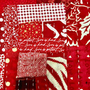 Scarlet Lady Love by O.V. Brantley, Image 24.