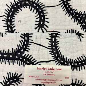 Scarlet Lady Love by O.V. Brantley, Image 21.