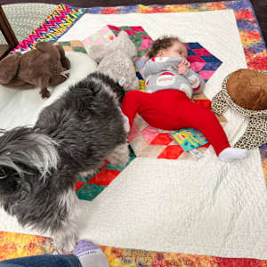 Celestial Playtime by O.V. Brantley 