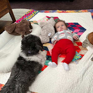 Celestial Playtime by O.V. Brantley 