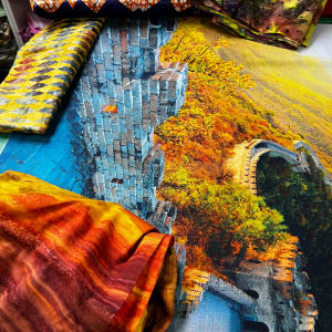 I Climbed the Great Wall With India by O.V. Brantley  Image: I Climbed the Great Wall With India in progress 