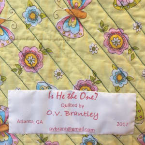 Is He the One? by O.V. Brantley 