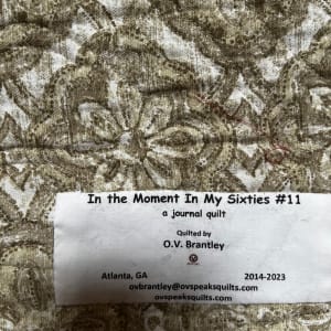 In the Moment in My Sixties #11 by O.V. Brantley  Image: In the Moment in My Sixties #11 Label