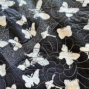 Black Butterfly by O.V. Brantley 