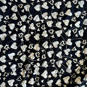 Black Butterfly by O.V. Brantley 