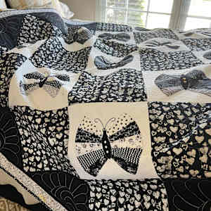 Black Butterfly by O.V. Brantley 