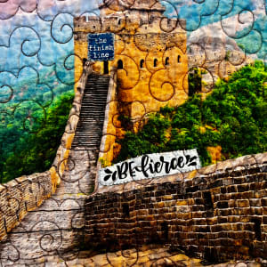 I Climbed the Great Wall with My Mom by O.V. Brantley  Image: I  Climbed the Great Wall With My Mom Closeup