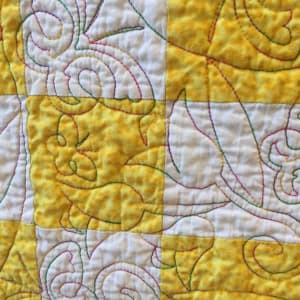Ready For a Happy Day by O.V. Brantley  Image: Ready For a Happy Day quilting detail