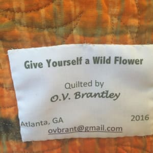 Give Yourself a Wild Flower by O.V. Brantley 