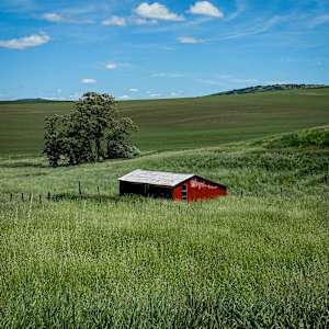 A Little Red Barn by Stephanie Banks