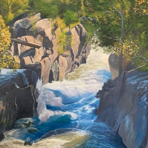 Great Falls (Southern View) by Alden Schofield