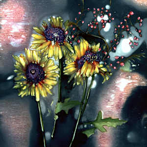 Black-eyed Susans by Beth Stinson