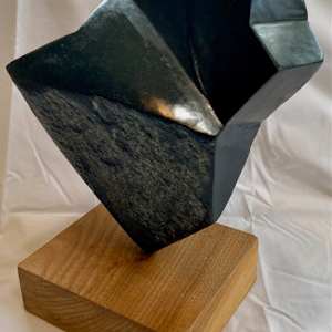 Cosmos by Barbara Meima