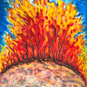 Bonfire by Marian Osher