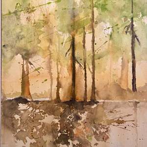 Forest Edge by Jane Salomon