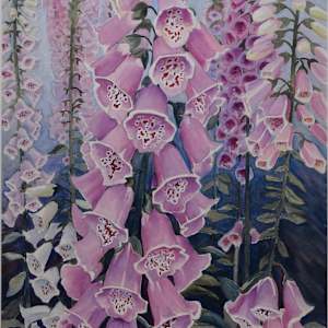 Foxglove by Susan Moses