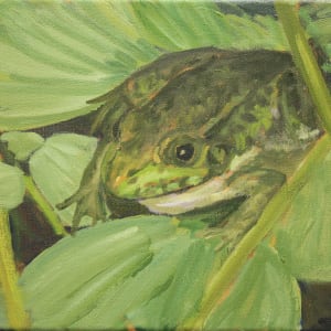 Green Frog by Ray Tully