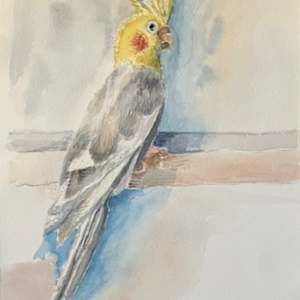 Apple Posing by Sandra Zisman